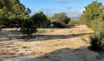54080 Wellman, Anza, CA 92539