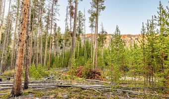 Harris Road lot 2 Tbd, Anaconda, MT 59711