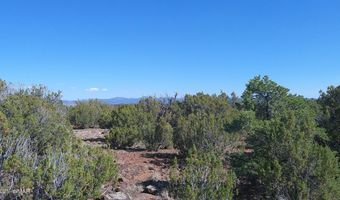 24 County Road 8063, Concho, AZ 85924