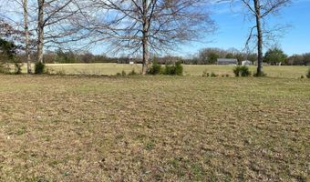 345 PAULINE Dr, Adamsville, TN 38310