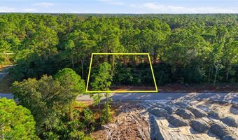 2428 Mabry St, Alva, FL 33920