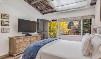 731 S Mill St 3A, Aspen, CO 81611