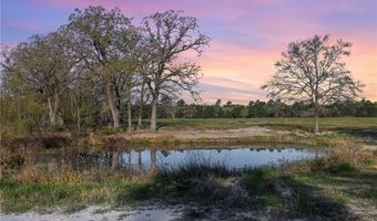 6254 County Road 180, Anderson, TX 77830