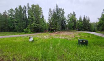 13376 Bug Creek Rd, Bigfork, MT 59911