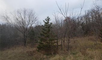 Lot 2 & 3 County Road M / 202nd St, Alden, WI 54026