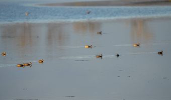 43353 258th St, Bridgewater, SD 57319