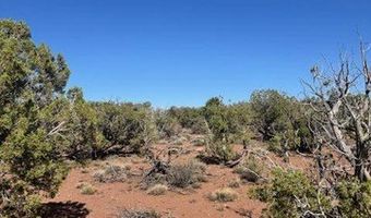 36 County Road N8487, Concho, AZ 85924