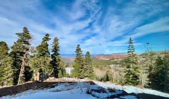 1989 N Dry Lakes Rd, Brian Head, UT 84719