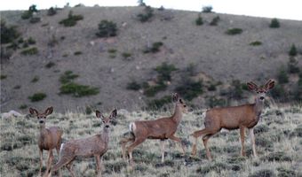 Tbd Stagecoach Spur W, Belfry, MT 59008