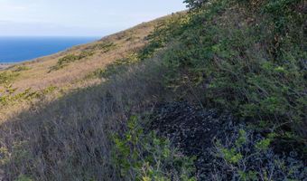 GUAVA RD, Captain Cook, HI 96704