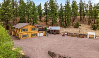 28 County Rd 2310, Alpine, AZ 85920