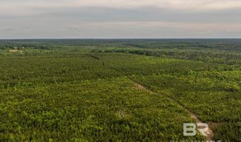 Flowers Road, Bay Minette, AL 36507