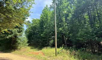 COUNTY ROAD 49, Beaverton, AL 35544