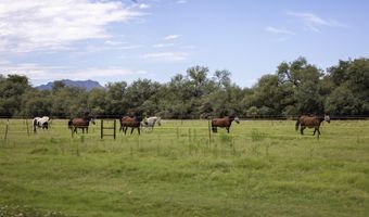 3155 W Elephant Head Rd, Amado, AZ 85645
