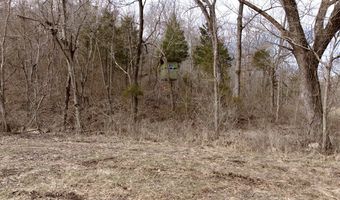 000 County Road U-105A, Ava, MO 65608
