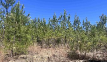 Robinsonville Road, Atmore, AL 36502