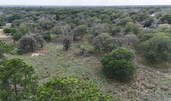 1228 Morning Glory Ln, Adkins, TX 78101