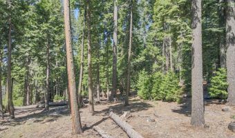 403 Sierra Pkwy, Camp Connell, CA 95223