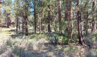 Oriole Drive Lot 13, Bonanza, OR 97623