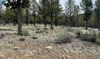 Mt Quail & Grizzley, Alturas, CA 96101