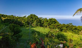 87-493 KAOHE MAUKA Rd, Captain Cook, HI 96704