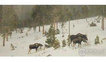 200 Kimwood Rd, Black Hawk, CO 80422