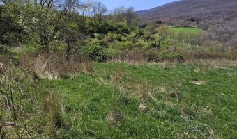 Tbd Clear Fork Creek Road, Bastian, VA 24314