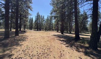 10742 Yonna Dr, Bonanza, OR 97623