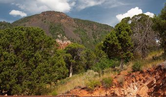 2800 Cedar Dr, Basalt, CO 81621