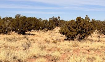 Tbd 207-69-014E, Chambers, AZ 86502