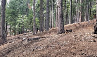 5175 Hokan Cir, Camp Connell, CA 95223