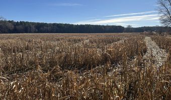 0 Bivalve Lodge Rd, Bivalve, MD 21814