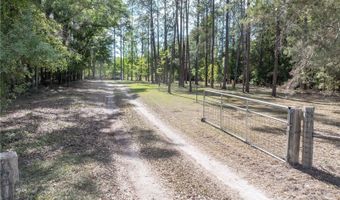 159 SW 70TH Ave, Bell, FL 32619