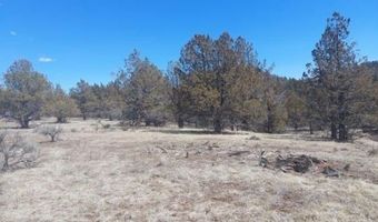 Lot 35 Blk 24 MRE Tiger Lane, Alturas, CA 96101