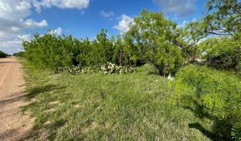 631 Avenue H, Anson, TX 79501