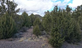 177 E Forest Dr, Central, UT 84722