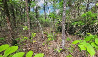 Strawberry Valley Road, Ash Flat, AR 72513
