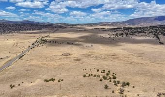 New Mexico 246, Capitan, NM 88316