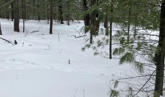 VL Wilderness Circle, Alger, MI 48610