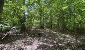 V/L 43.5A 104th Avenue, Allegan, MI 49010