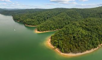 976 Livingston Boat Dock Rd, Allons, TN 38541