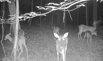 6 Acres Henry Scott, Ball Ground, GA 30107