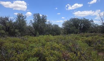 450 Arizona Rd, Ash Fork, AZ 86320