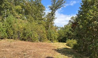 13 44 Ac Chestnut Ridge Rd, Allardt, TN 38504