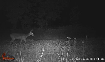 8752 HWY A, Almond, WI 54909