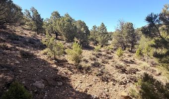 1037 S Canyon Dr, Cedar City, UT 84720