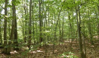 Lot 6 Maplecrest Road, Parsonsfield, ME 04047