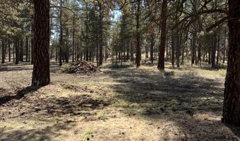 0 Mina Bird Lot 7 & 8, Bonanza, OR 97623