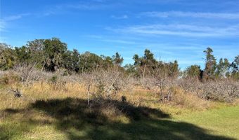 18250 RAVENSWOOD Rd, Altoona, FL 32702