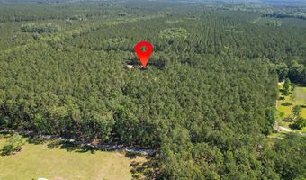 8144 Autumn Mist Ln, Adams Run, SC 29426